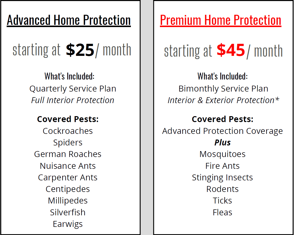 Pricing Plan Options
