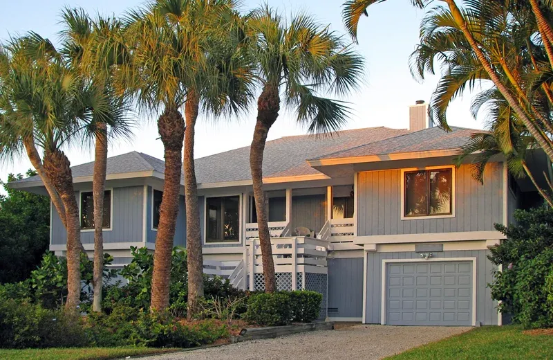 Tampa, Fl house with palm trees